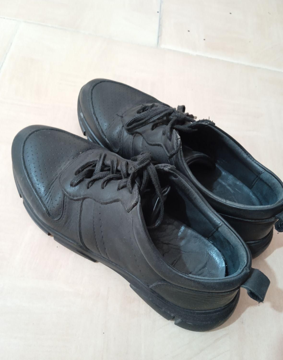 کتونی چرم|کیف، کفش، کمربند|رشت, معلولین|دیوار