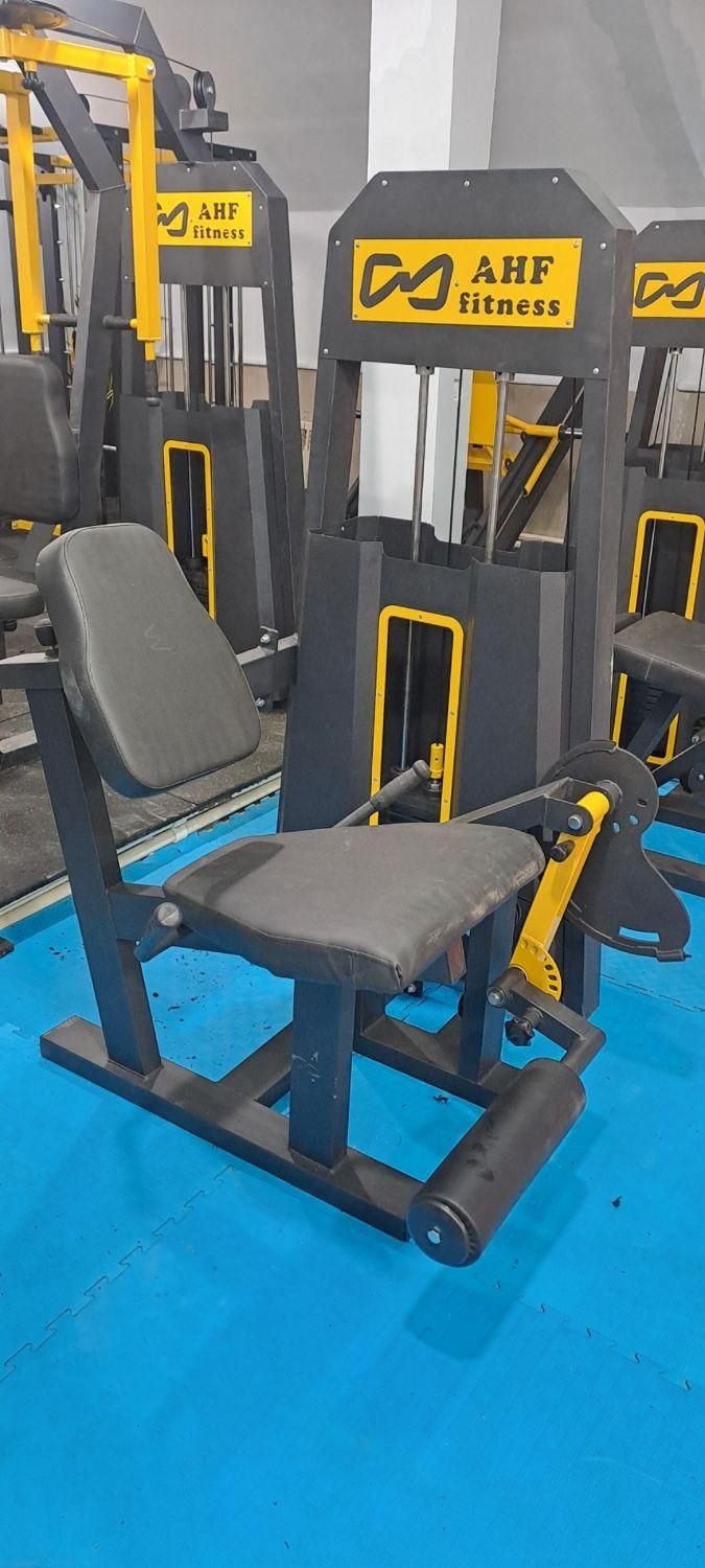 انواع دستگاه بدنسازی باشگاهی طرح DHZ Pro|تجهیزات ورزشی|تهران, اقدسیه|دیوار