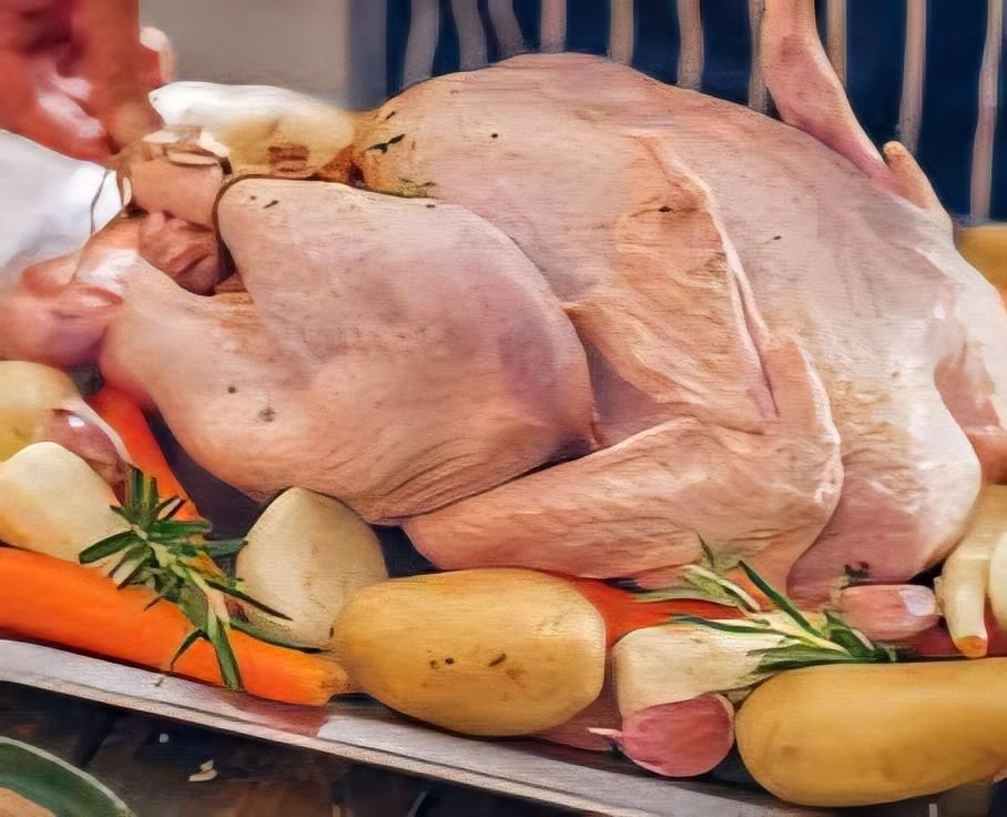 بوقلمون شرکتی کامل یا قطعه بندی|خوردنی و آشامیدنی|رشت, یخسازی|دیوار