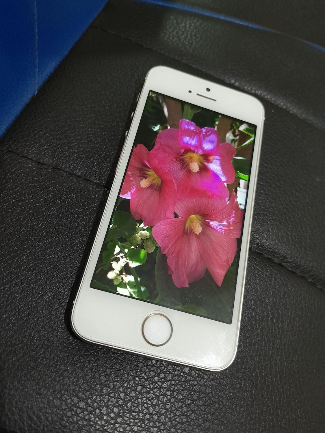 اپل iPhone 5s با حافظهٔ ۶۴ گیگابایت|موبایل|تهران, استاد معین|دیوار