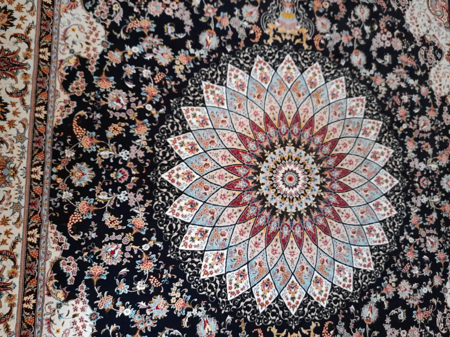 یک جفت فرش طرح دستباف مولوی(کاشان) درجه یک|فرش|اصفهان, عمان سامانی|دیوار