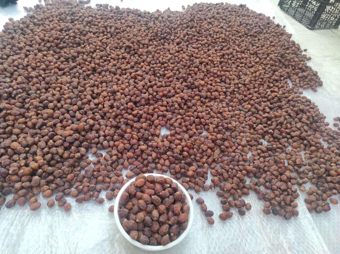 فروش خرمای آجیلی شکلاتی خاصویی (ریزه خاصویی) جم|خوردنی و آشامیدنی|جم, |دیوار