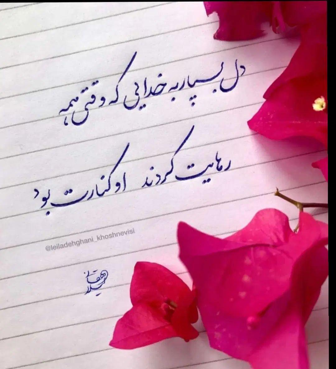 راهنمایی کنید|فعالیت داوطلبانه تحقیقاتی|تهران, آبشار|دیوار