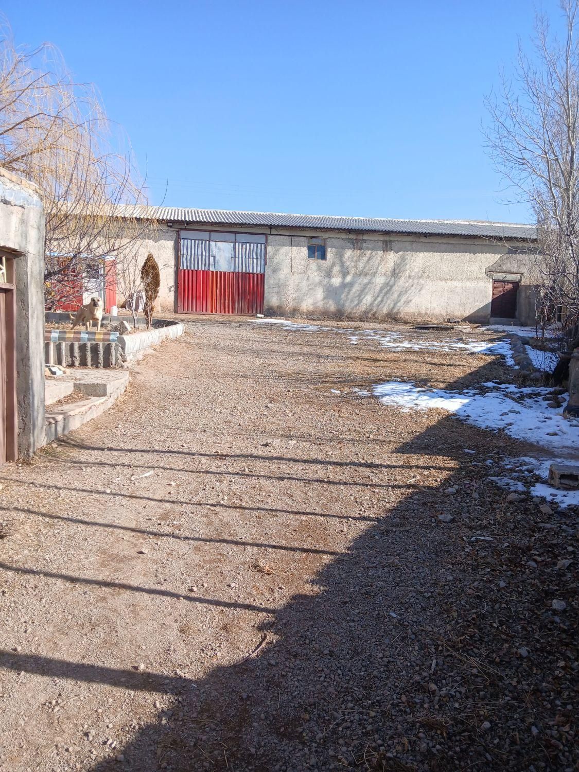 فروش گاوداری بر جاده خواجه ورزقان ۷۰۰۰ متری|فروش دفتر صنعتی، کشاورزی، تجاری|اهر, |دیوار