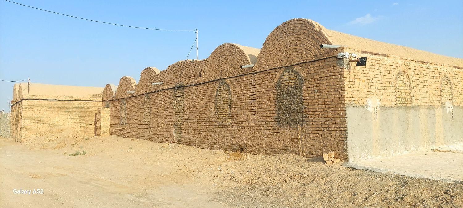 زمین ۳۷۰۰ متر مربع با ۶سالن بزرگ و پروانه دامداری|فروش دفتر صنعتی، کشاورزی، تجاری|میبد, |دیوار