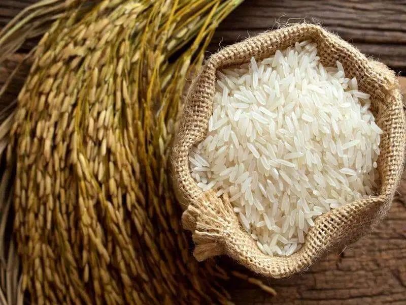 برنج|خوردنی و آشامیدنی|رشت, شهرک قدس|دیوار
