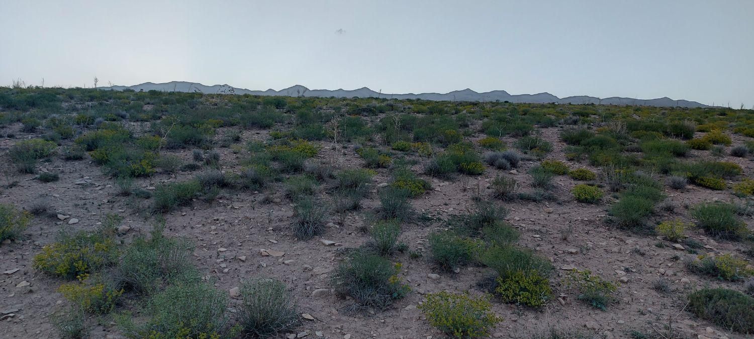 دیمزار تنگه واشی/سرمایه گذاری|فروش دفتر صنعتی، کشاورزی، تجاری|فیروزکوه, |دیوار