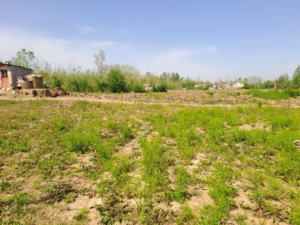 زمین 8000 متری لاهیجان ویو ابدی مناسب گلخانه|فروش زمین و ملک کلنگی|لاهیجان, آهندان|دیوار