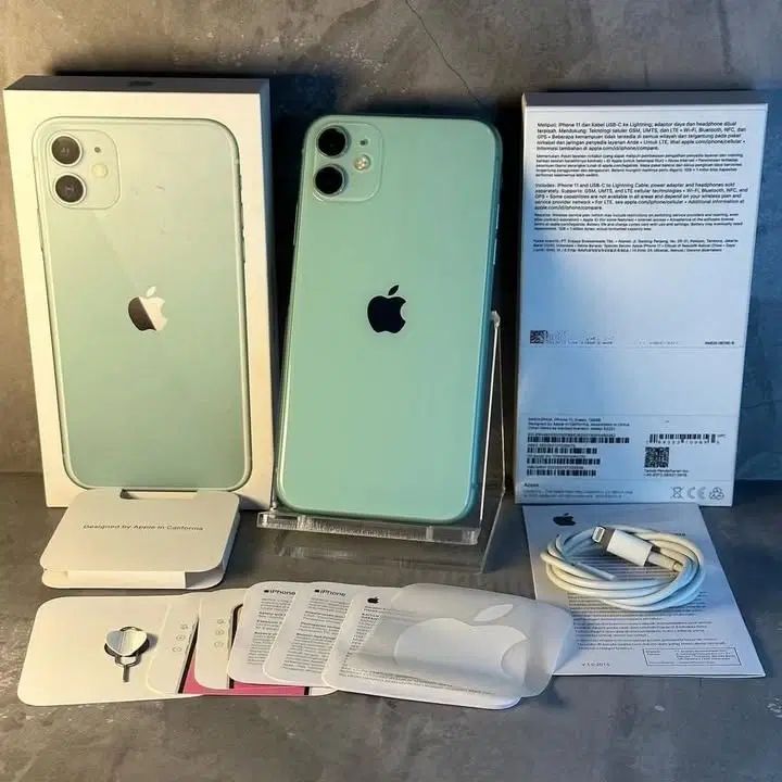 Iphon 11|موبایل|رشت, کاکتوس|دیوار