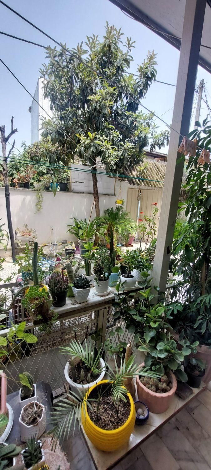 اجاره خانه ویلایی ۱۱۰ متری ۲ واحدی|اجارهٔ خانه و ویلا|ساری, |دیوار