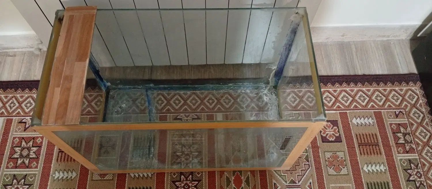 آکواریوم شیشه ای سالم|لوازم جانبی حیوانات|تهران, تهرانپارس غربی|دیوار