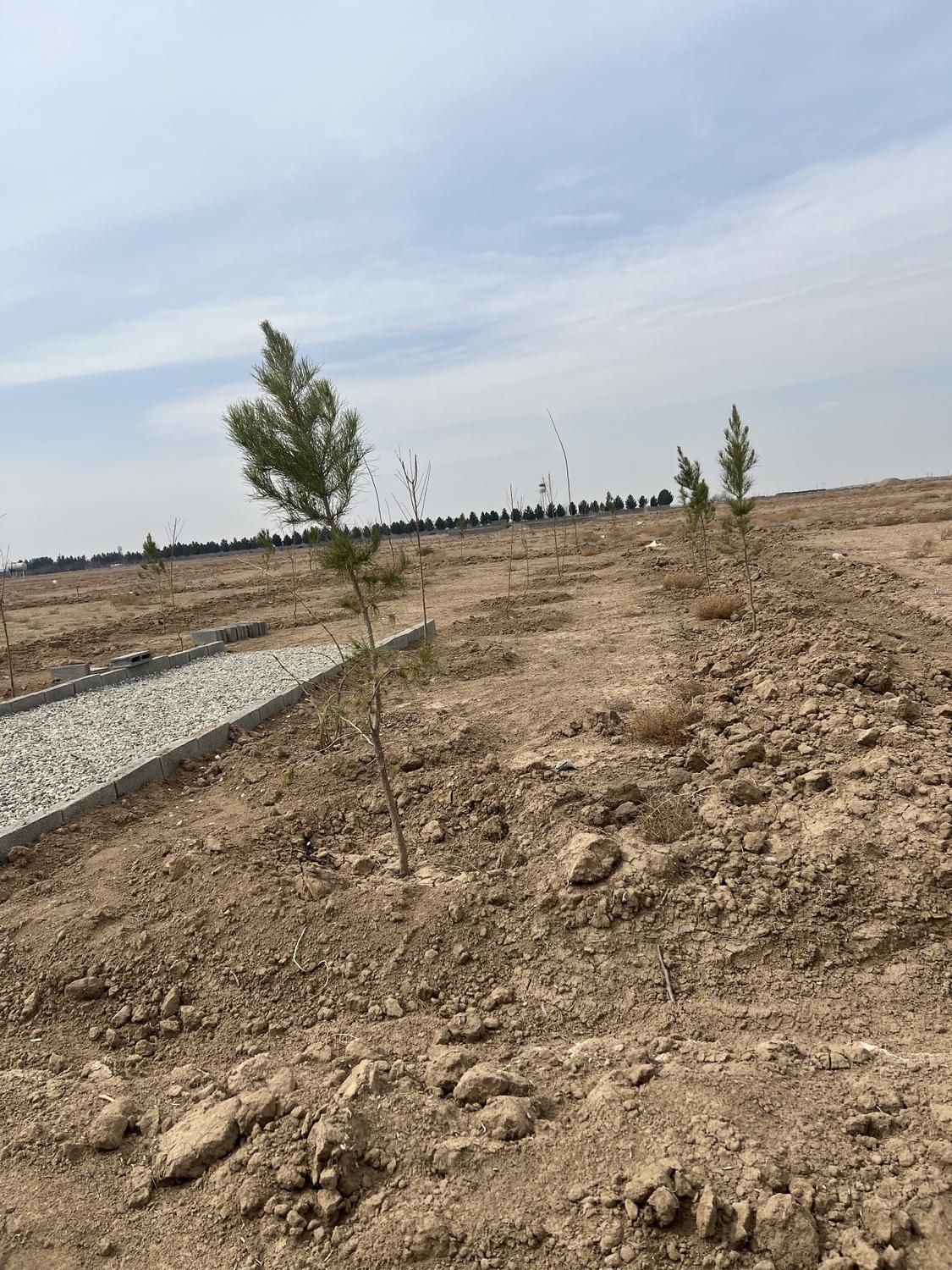 ۱۳۰۰متر‌زمین(سند۶دانگ)سهیلیه.زعفرانیه.کردان|فروش زمین و ملک کلنگی|کرج, گوهردشت|دیوار