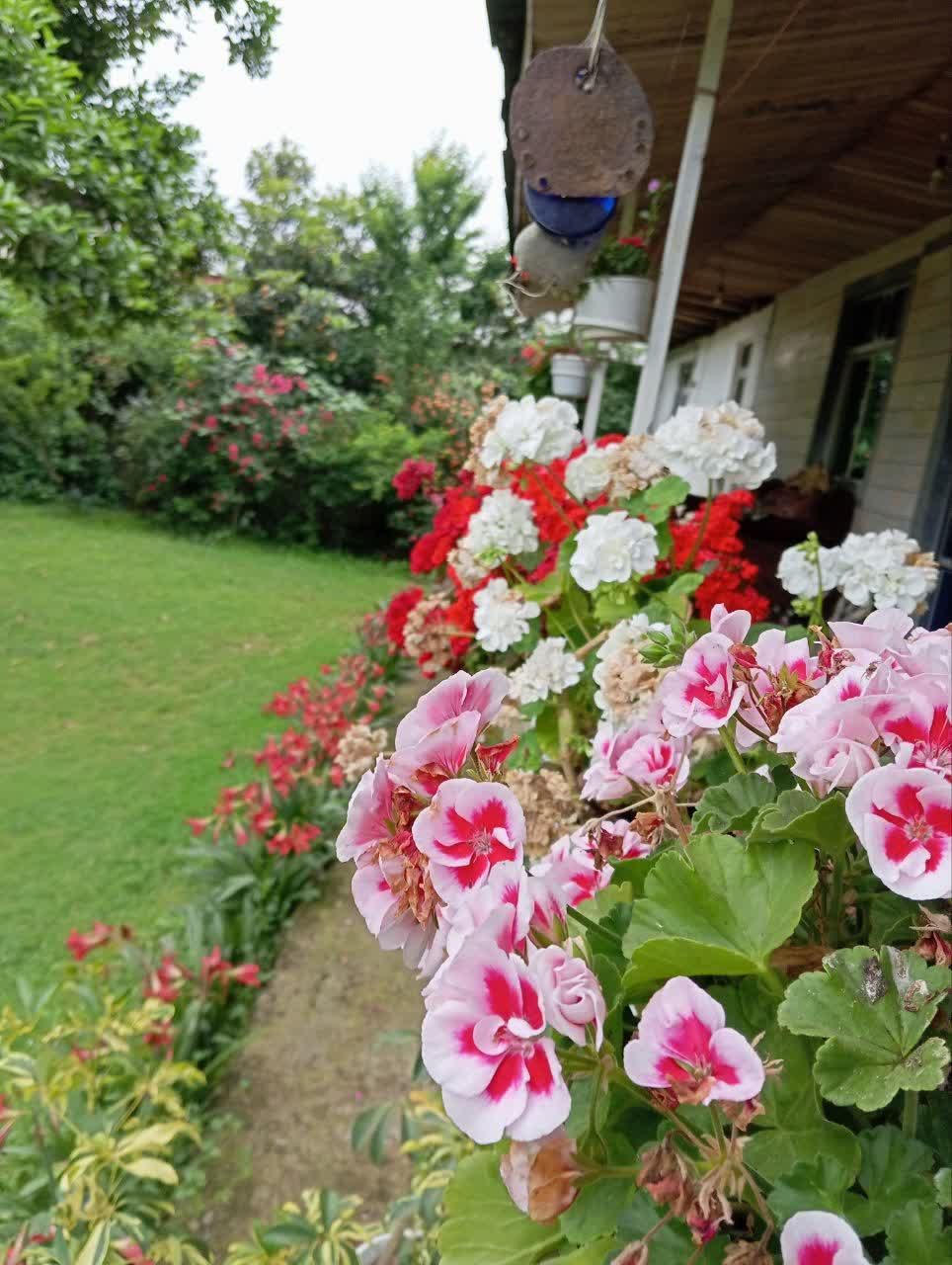 اجاره روزانه/هفتگی/ماهانه آپارتمان ۱۱۰ متری|اجارهٔ کوتاهمدت آپارتمان و سوئیت|ماسال, |دیوار