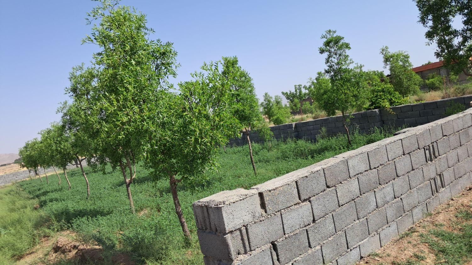 تصویر 8