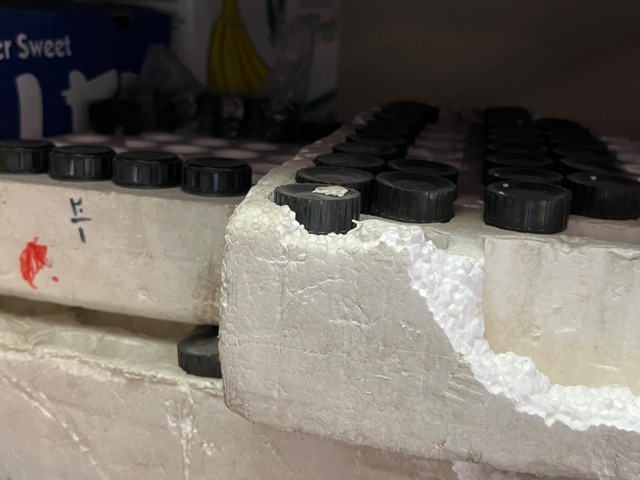 لنزهای چشمی و شیی انواع میکروسکوپ|لوازم التحریر|اصفهان, بیدآباد|دیوار