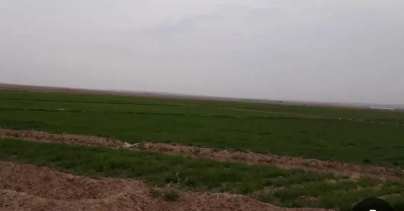 ۵۰۰ متر زمین کشاورزی روشن دشت روبرو نمایشگاه|فروش زمین و ملک کلنگی|اصفهان, نمایشگاه بین المللی اصفهان|دیوار