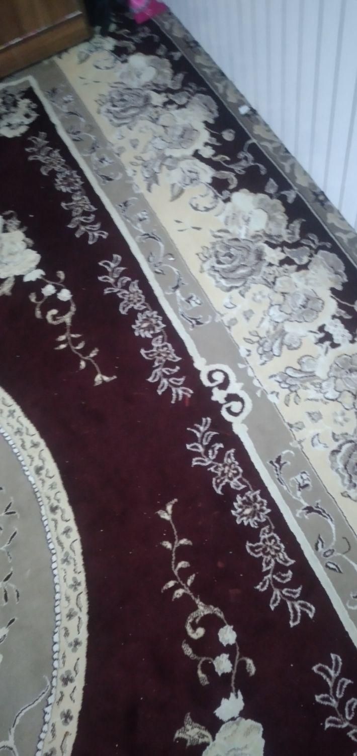 یک عددقالی درحدنو|فرش|گلبهار, شهر جدید گلبهار|دیوار