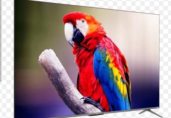 تلویزیون ۵۵ اصل تی سی ال 4k|تلویزیون و پروژکتور|ارجمند, |دیوار