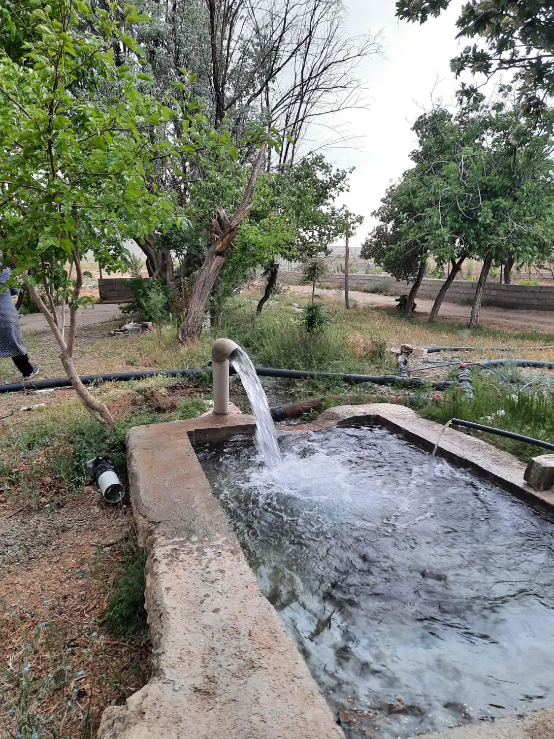 فروش ۲ هکتار زمین کشاورزی و گلخانه با مجوز|فروش دفتر صنعتی، کشاورزی، تجاری|تیران, |دیوار