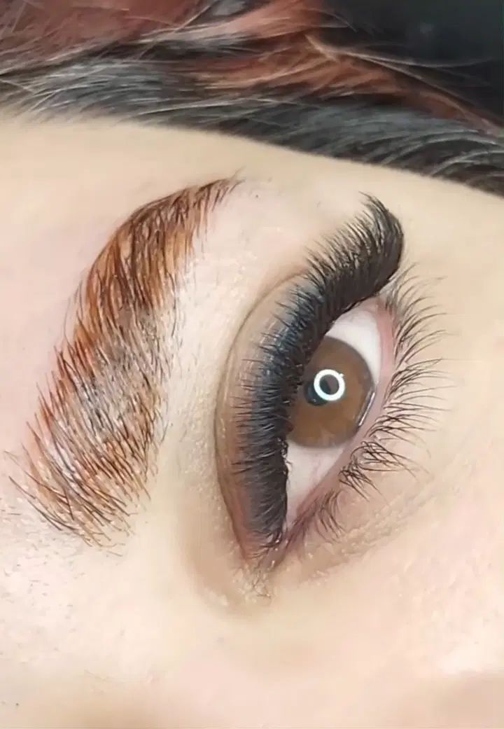 اکستنشن مژه / کاشت مژه / تخفیف ویژه فقط یک هفته|خدمات آرایشگری و زیبایی|شیراز, فرگاز|دیوار