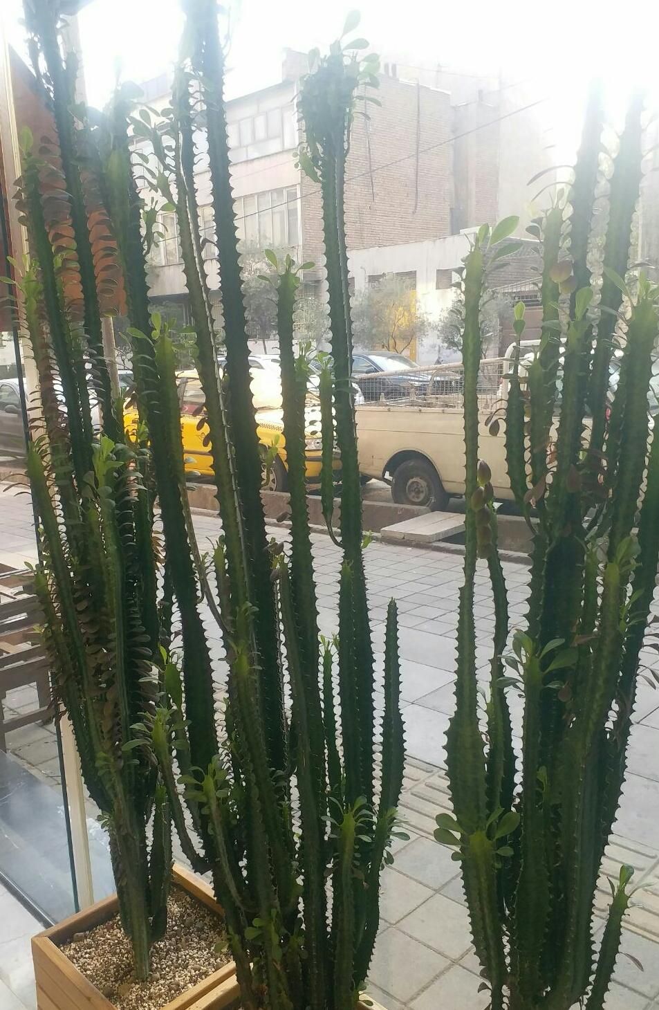 مغازه ۱۸ متری با بالکن ۶ متری|اجارهٔ مغازه و غرفه|تهران, شهرآرا|دیوار