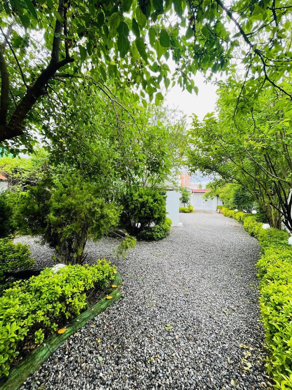 یه شماله و یه تراسه جنگلی/با همچین حیاط سرسبزی|فروش خانه و ویلا|چمستان, |دیوار