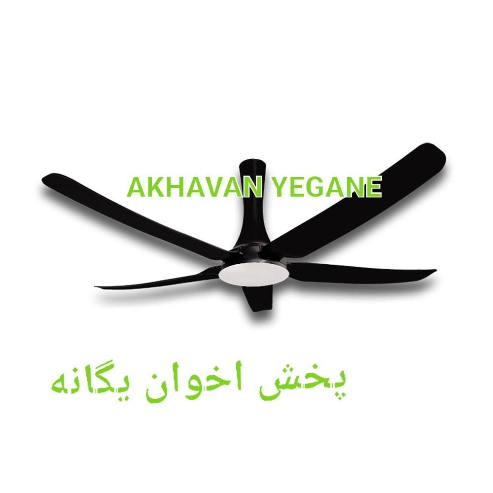 پنکه سقفی ۵ پنج پره مشکی کولاک رستاک با کنترل|پنکه و تصفیه‌کنندهٔ هوا|تهران, استاد معین|دیوار