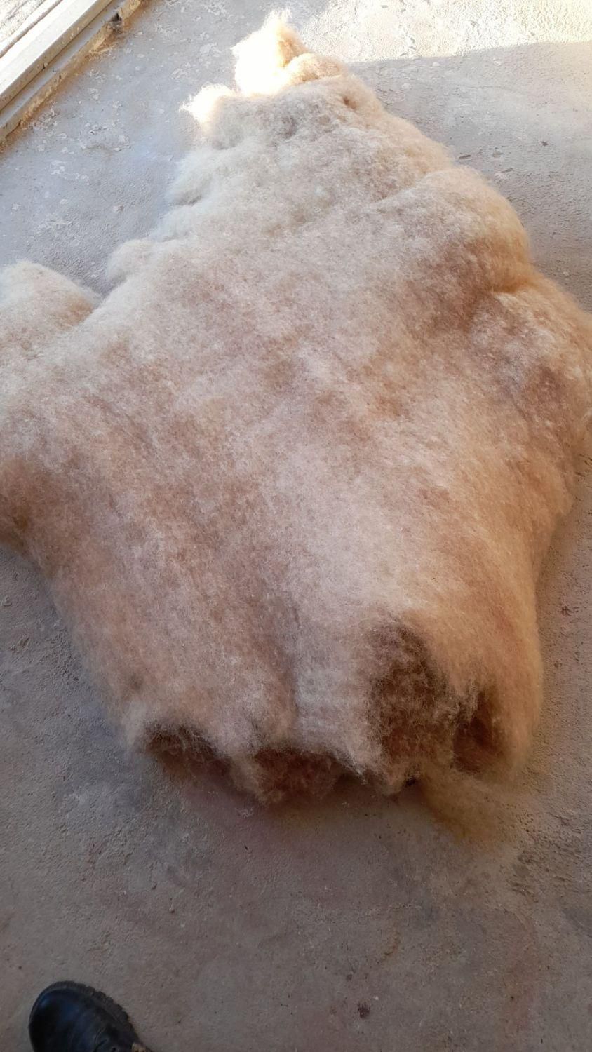 حلاجی(سومح ودیدمه)پشم والیاف|رختخواب، بالش، پتو|سراب, |دیوار