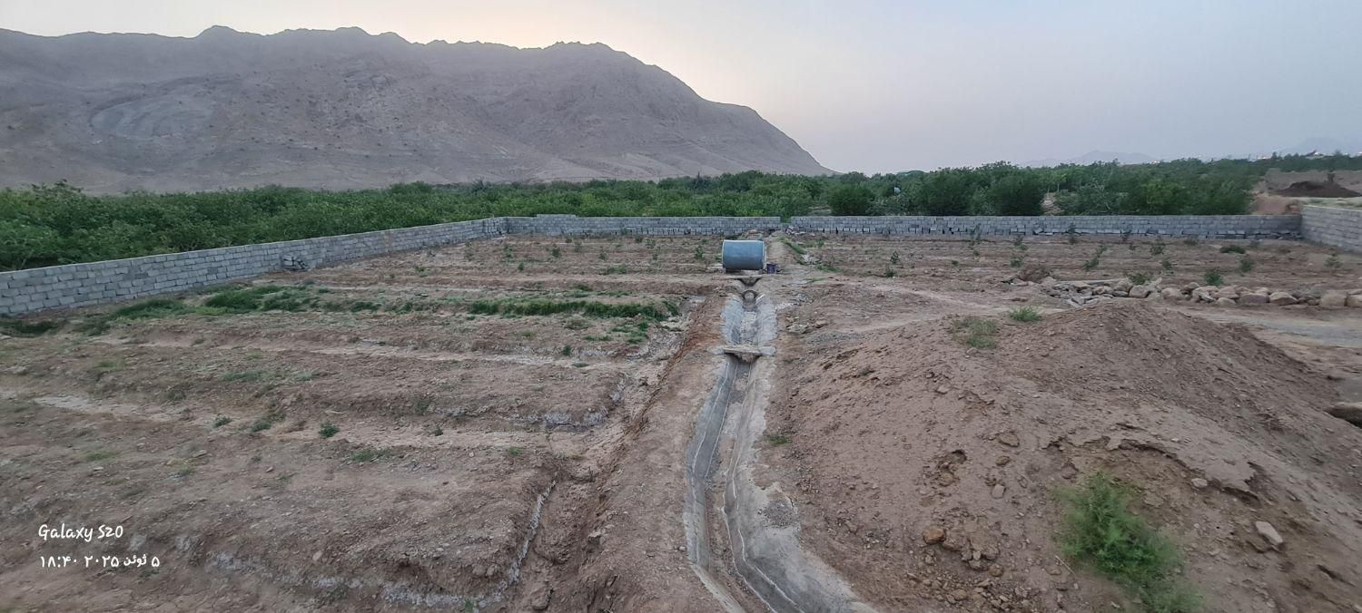 زمین باغ پسته حدودا ۱۳۵۰متر با برق و آب کشاورزی|فروش زمین و ملک کلنگی|بافق, |دیوار