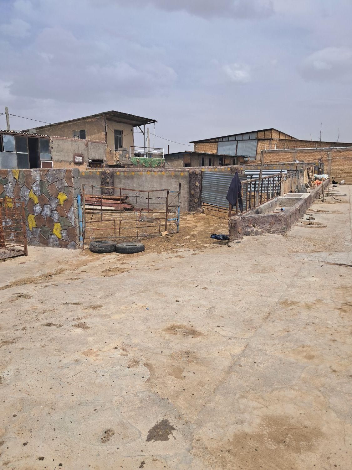 پروار بندی گوساله گوسفندی همه چی ۷۵ راس|پیشفروش املاک|بروجن, |دیوار