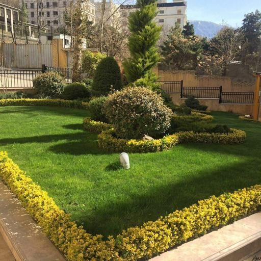 باغبانی باغچه کاری اجرای فضای سبز گل کاری چمن کاری|خدمات باغبانی و درختکاری|تهران, فرمانیه|دیوار