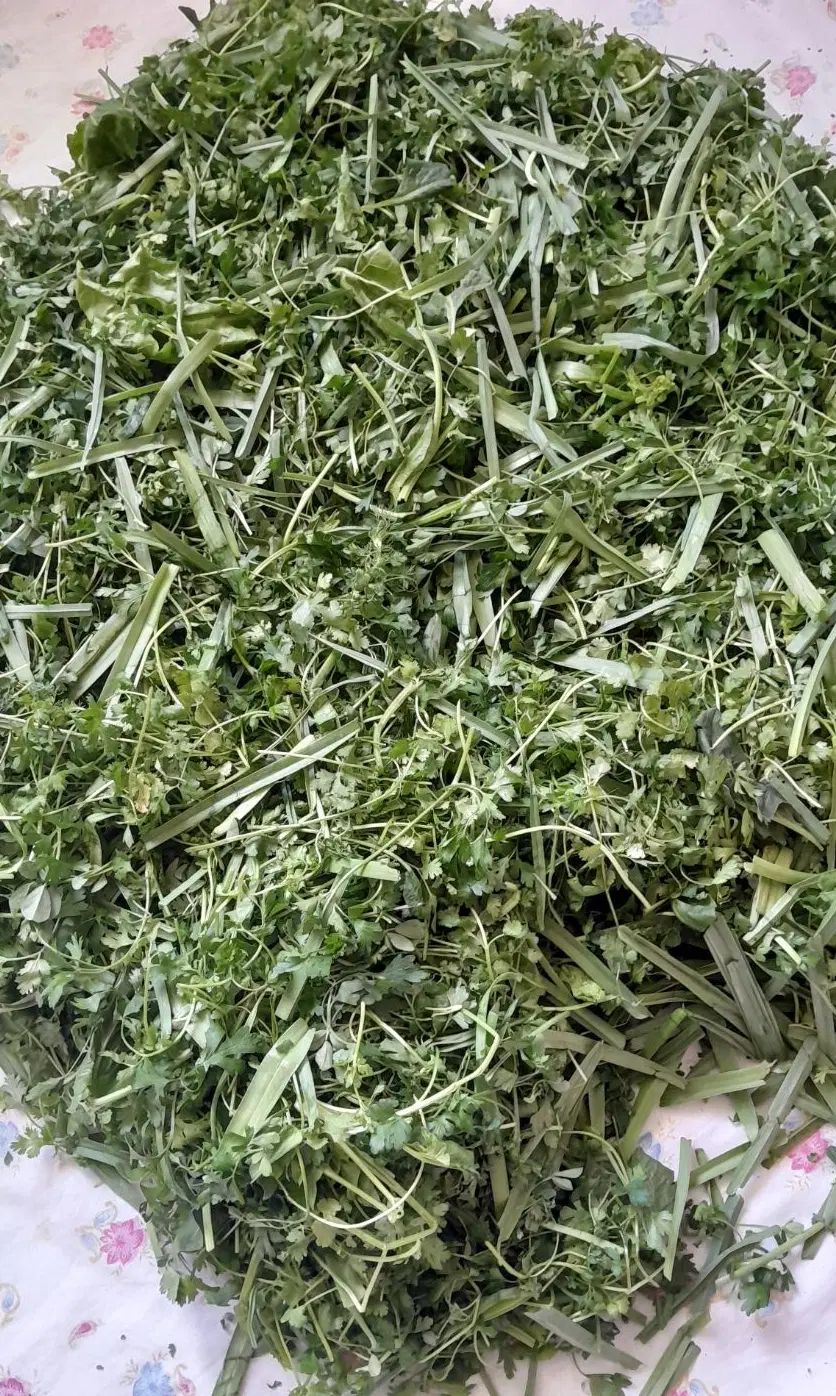 سبزی قرمه سرخ شده درجه یک|خوردنی و آشامیدنی|تهران, ترمینال جنوب|دیوار