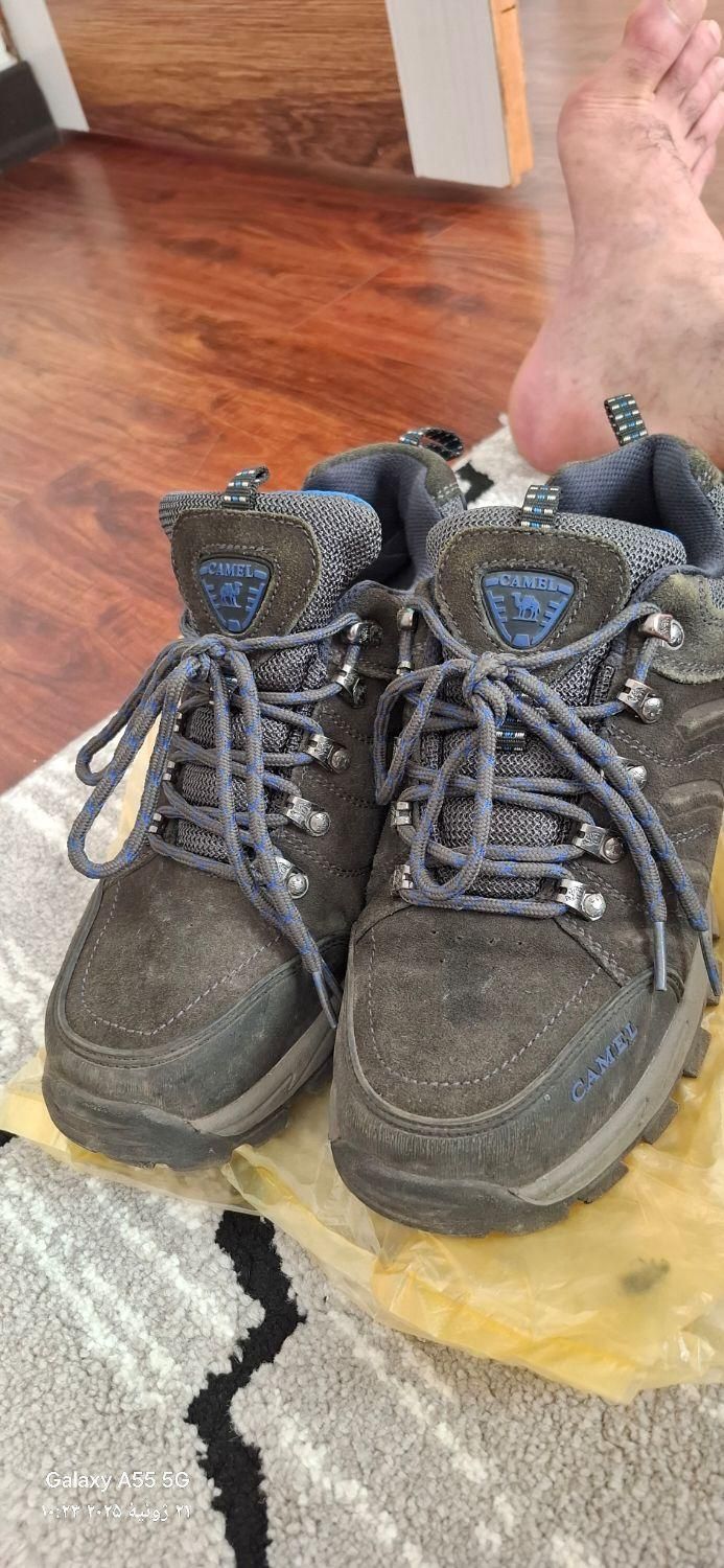 کتونی کوهنوردی کمل|کیف، کفش، کمربند|لاهیجان, کوی آزادگان|دیوار