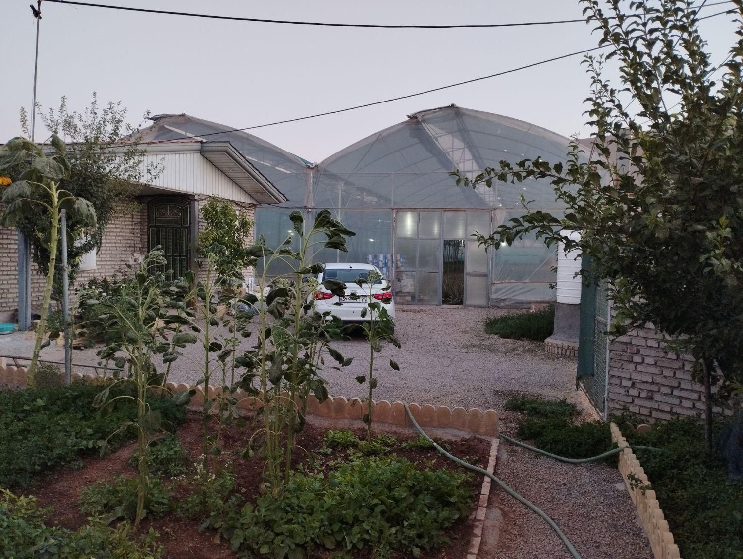 گلخانه|فروش دفتر صنعتی، کشاورزی، تجاری|خرمآباد, |دیوار