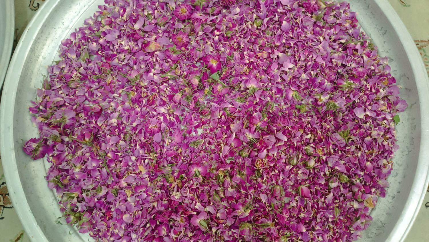 گل محمدی|خوردنی و آشامیدنی|شیراز, عفیف‌آباد|دیوار