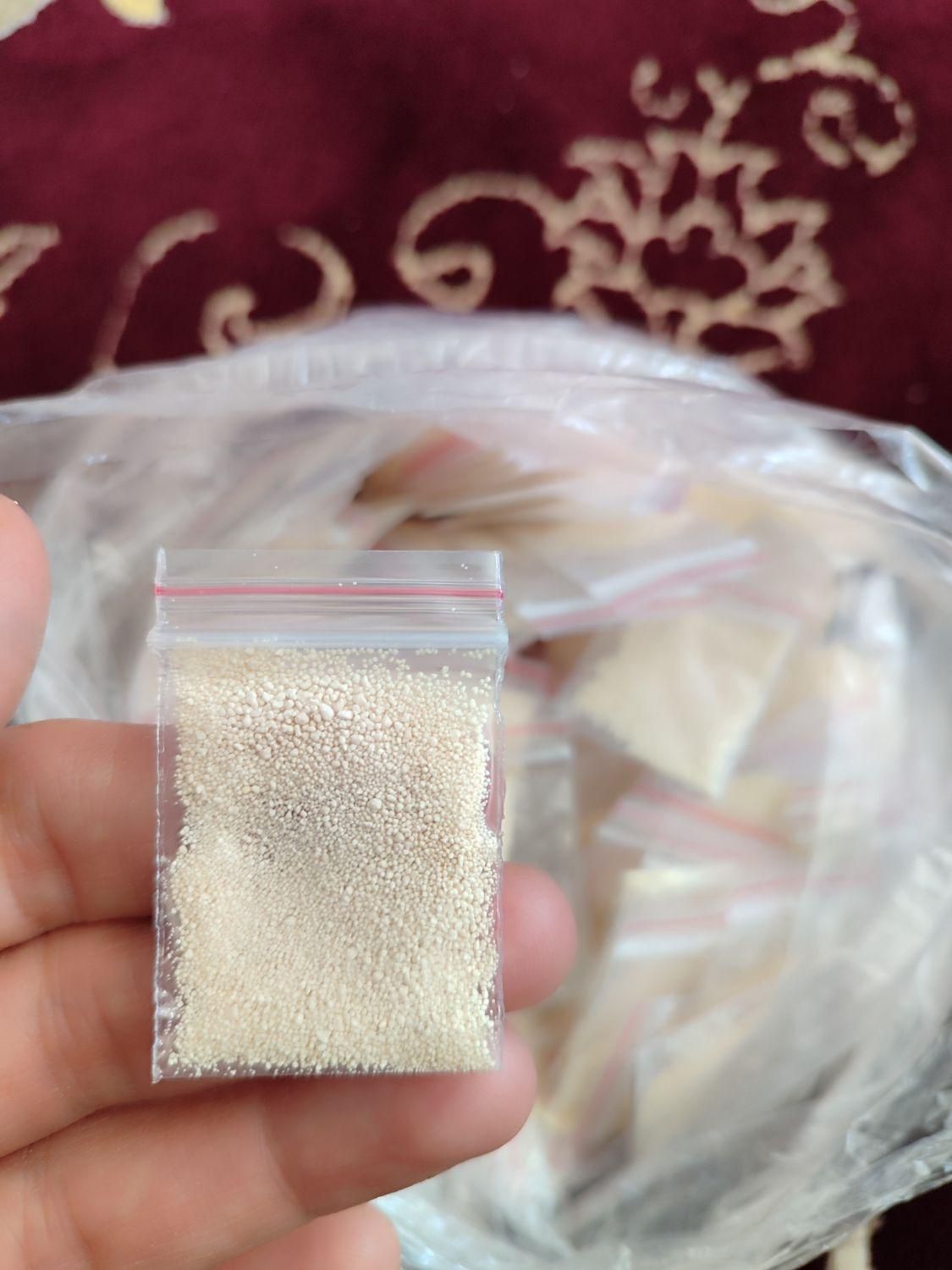 پودرشپش|آرایشی، بهداشتی، درمانی|آق قلا, |دیوار