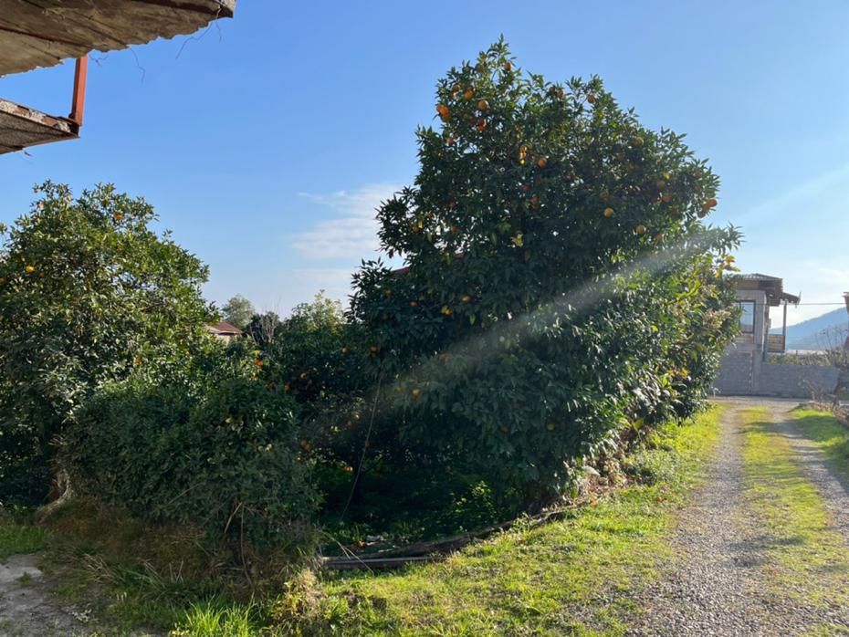 فروش زمین ۱۸۶ متری|فروش زمین و ملک کلنگی|خرم‌آباد (تنکابن), |دیوار