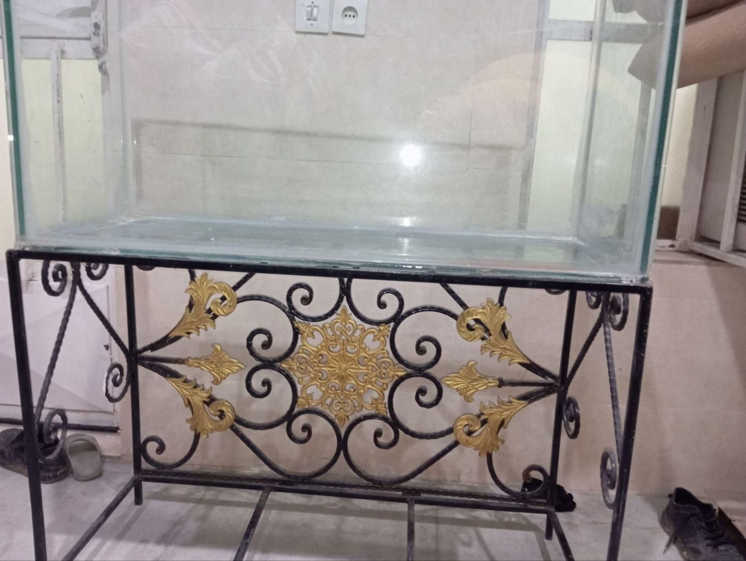 اکواریوم|ماهی|اهواز, کوی رمضان|دیوار