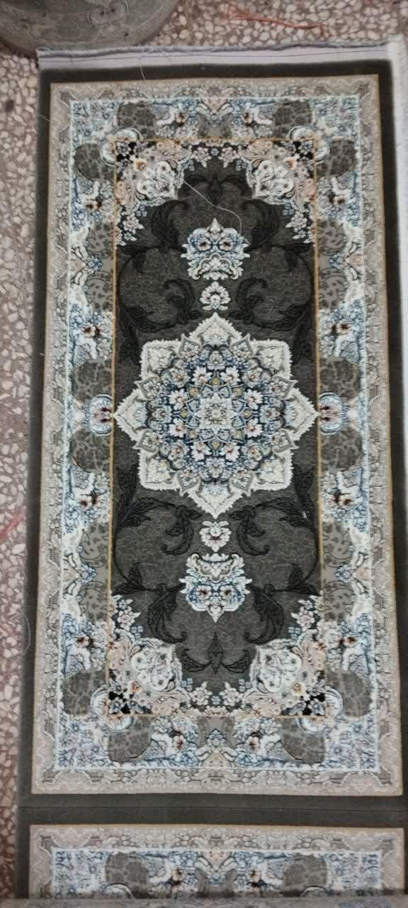 کارینا دودی|پشتی|قم, نیروگاه|دیوار