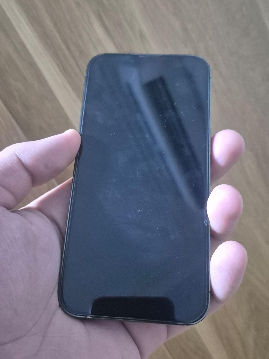 اپل iPhone 13 Pro با حافظهٔ ۲۵۶ گیگابایت|موبایل|تهران, گمرک|دیوار