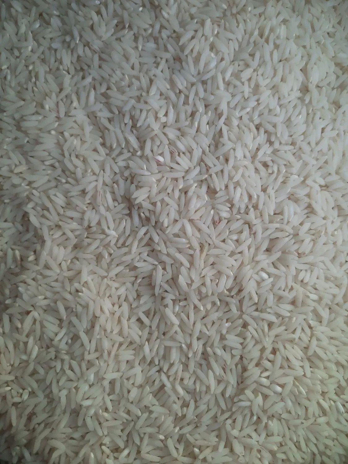 برنج درجه یک|خوردنی و آشامیدنی|تهران, بهداشت|دیوار