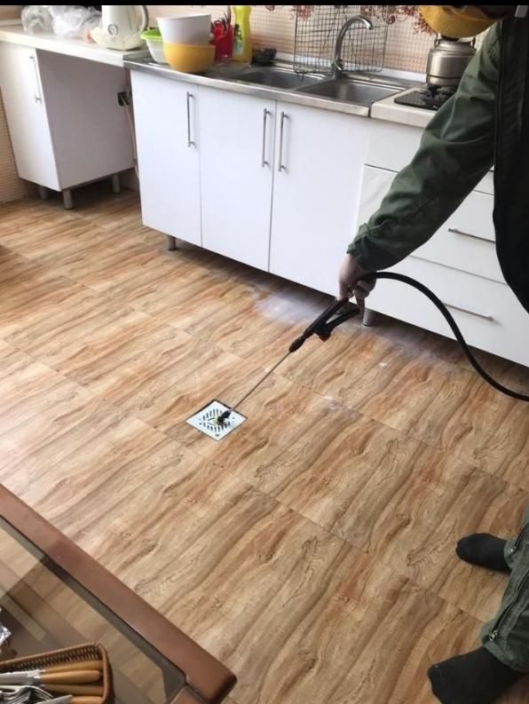 سمپاشی کنه ساس سوسک تضمینی|خدمات نظافت|مشهد, کوی سیدی|دیوار