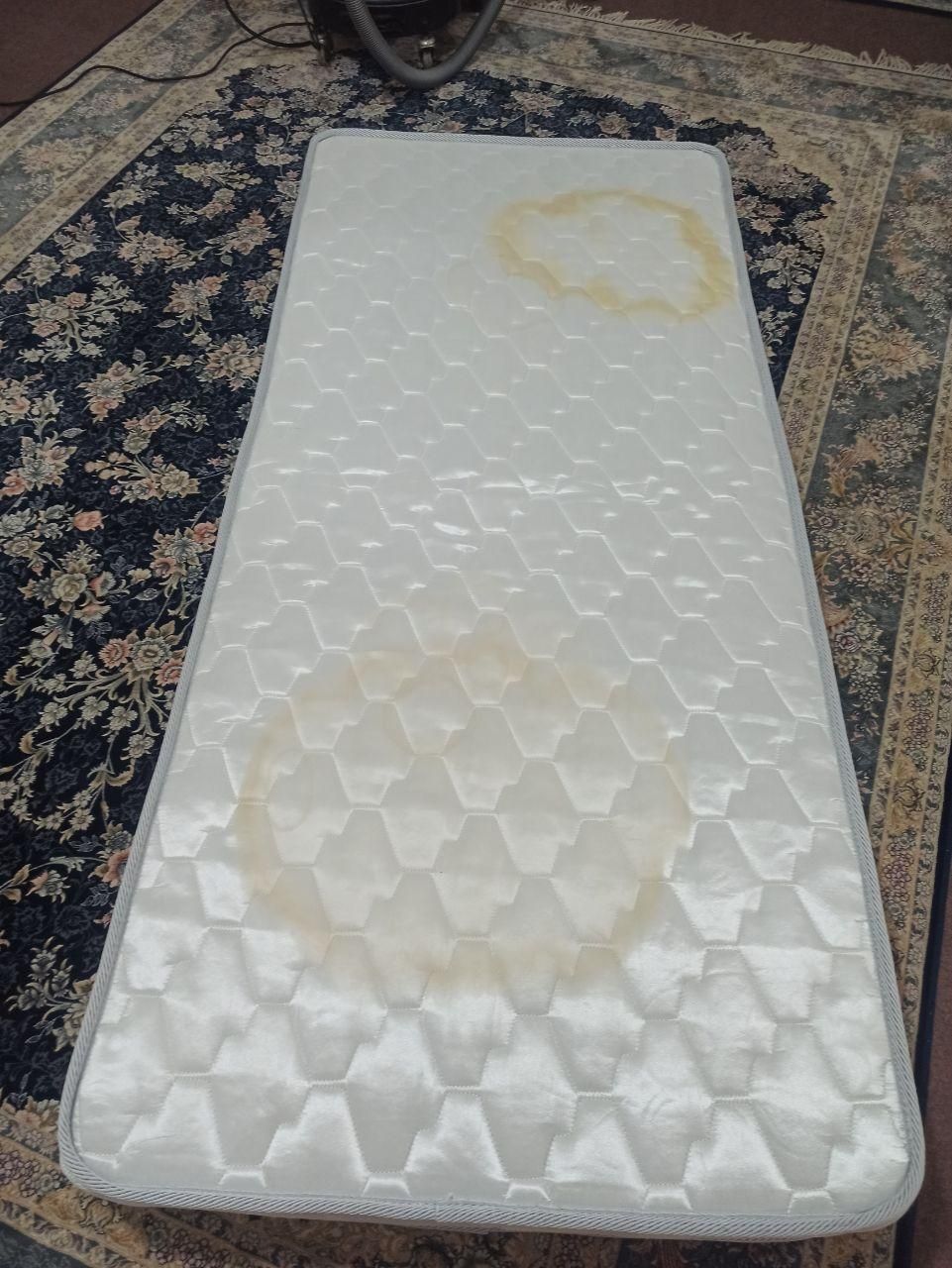 تخصصی ترین مبل شویی صدرا|خدمات نظافت|صدرا-فارس, فاز ۱|دیوار