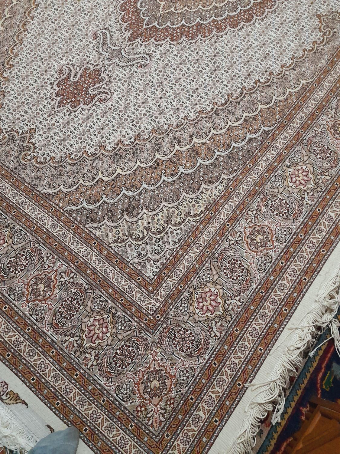 فرش ۲در ۳ (۶متری)|فرش|ارومیه, |دیوار