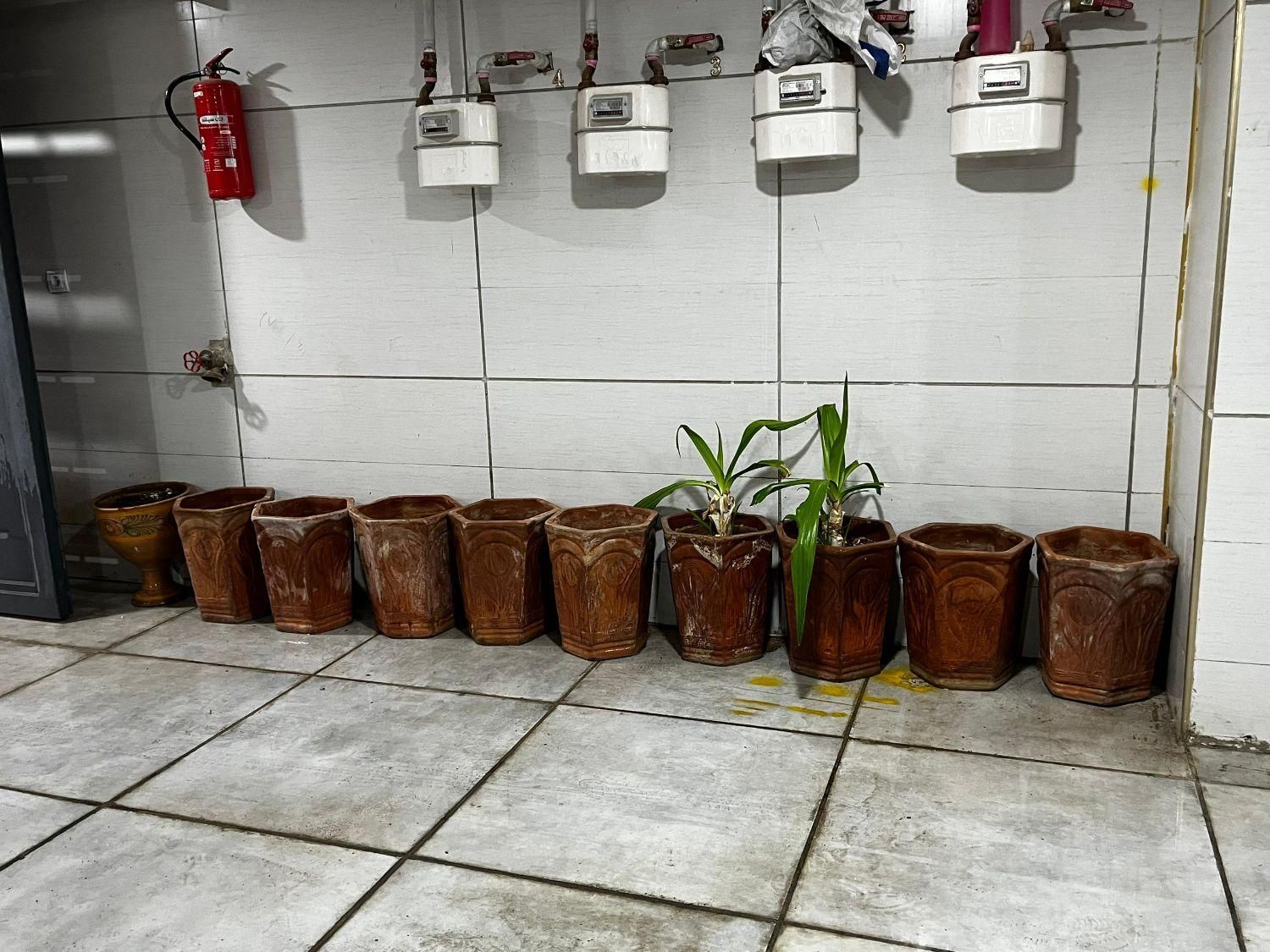 فروش لباس شویی دوو کرهای اصل تمام اتوماتیک|ماشین لباسشویی و خشک‌کن لباس|صدرا-فارس, فاز ۱|دیوار