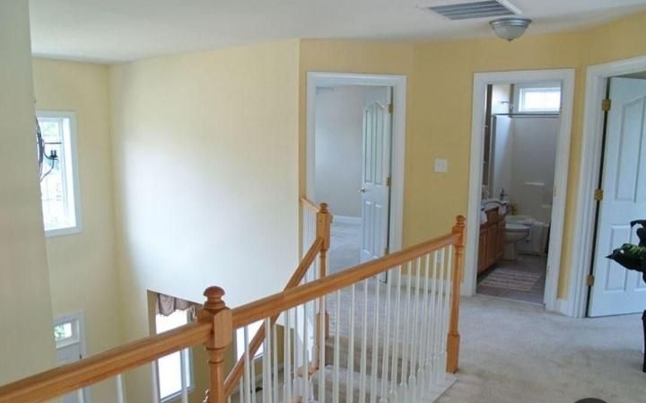 رنگ آمیزی نقاشی ساختمان ضمانتی .|خدمات پیشه و مهارت|نیشابور, شهرک قدس|دیوار