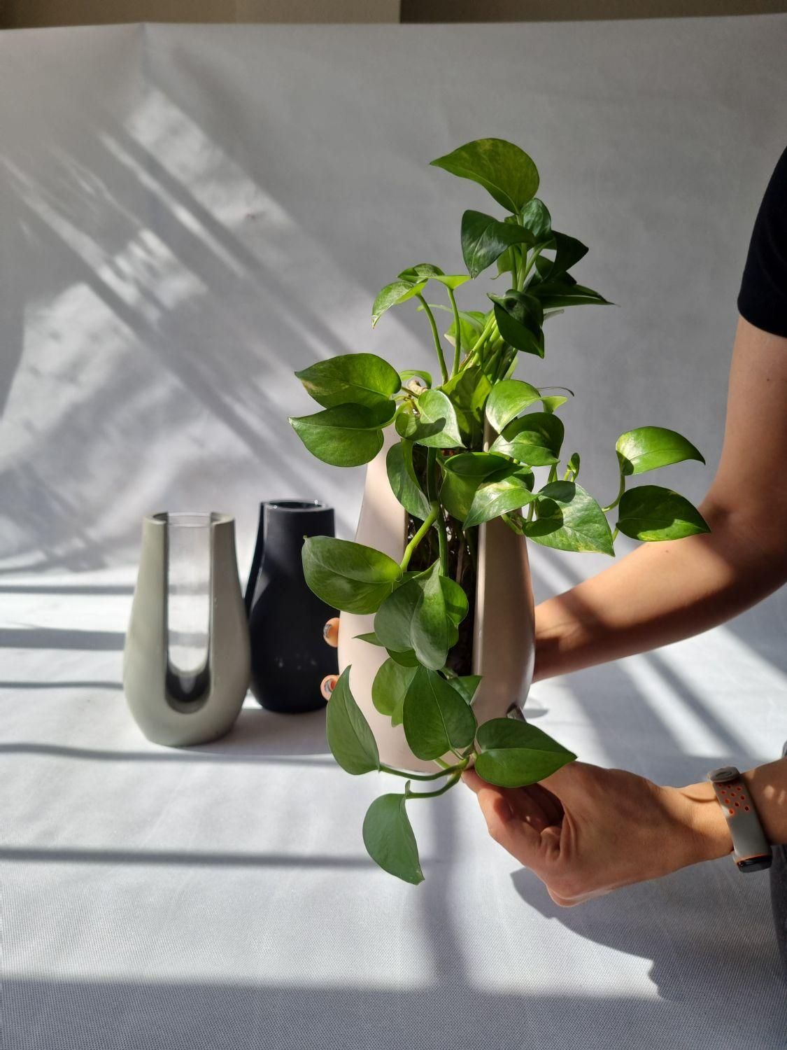 فروش قالب های سیلیکونی|صنایع دستی و سایر لوازم تزئینی|شاهین‌شهر, گرگاب|دیوار