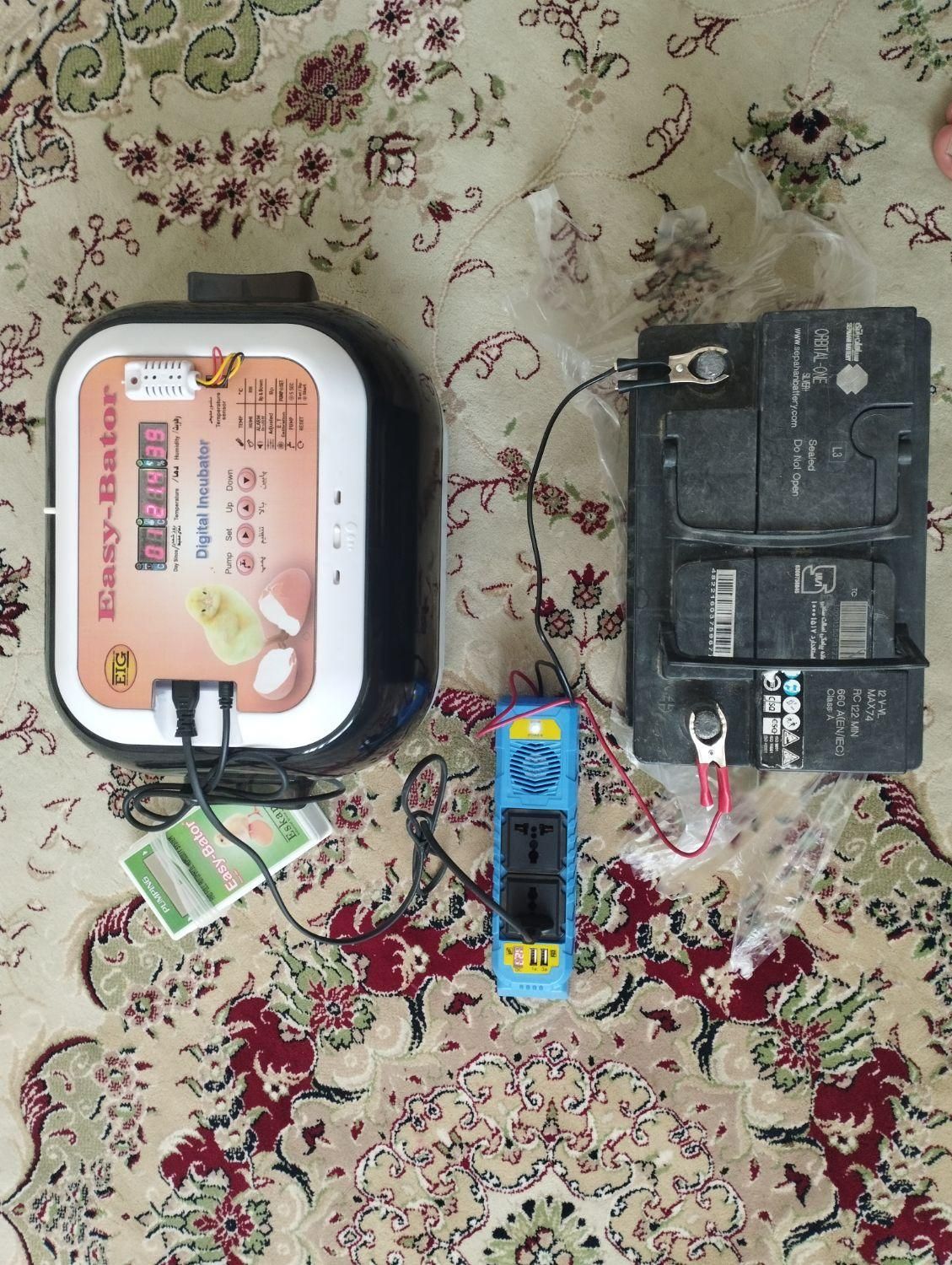 فروش دستگاه و وسایل جوجه کشی|لوازم جانبی حیوانات|شهرکرد, |دیوار