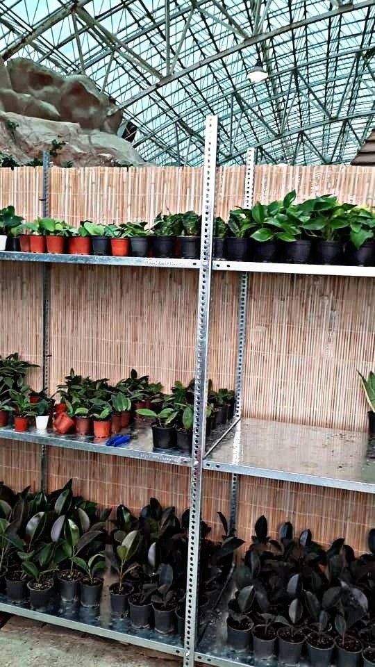 قفسه طرح قدیمی پیچ و مهره ای طوسی|فروشگاه و مغازه|آمل, |دیوار