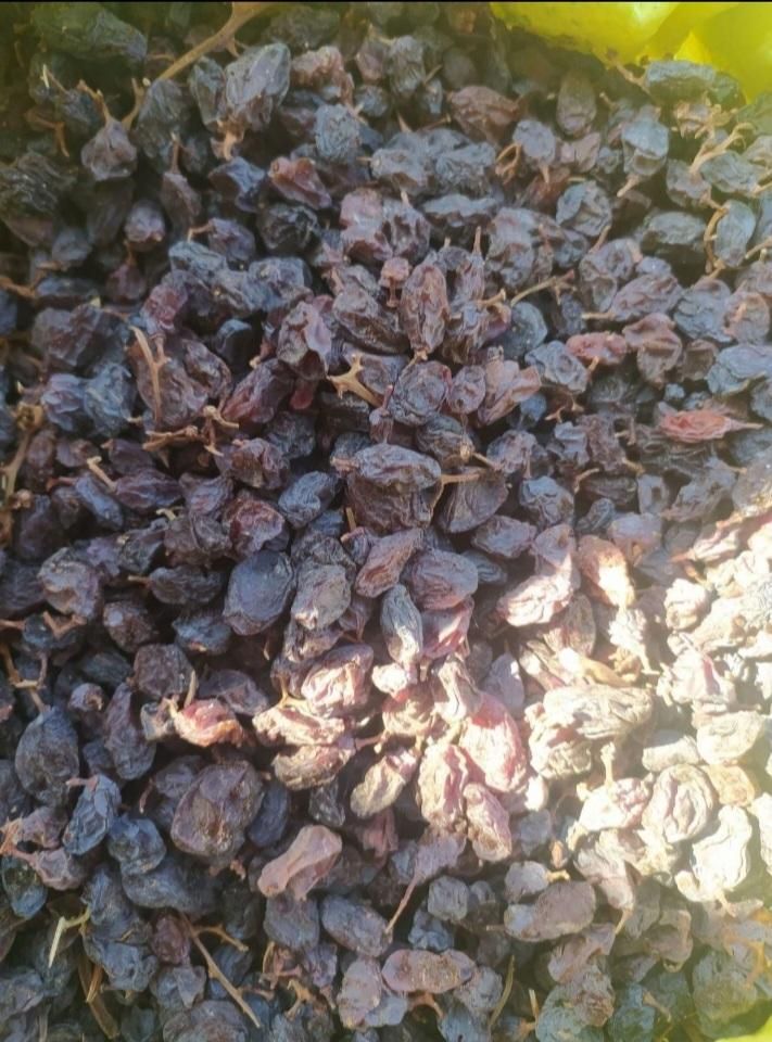 فروش انواع کشمش ، خریدار انواع کشمش|خوردنی و آشامیدنی|تاکستان, |دیوار